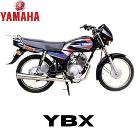 YBX