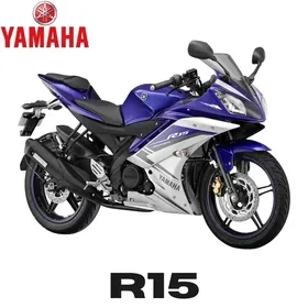 R 15